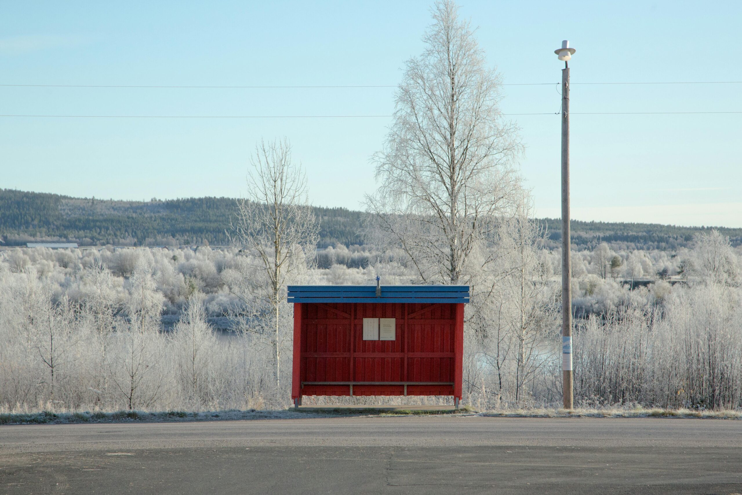 Therapy as Your Safe Waiting Shed